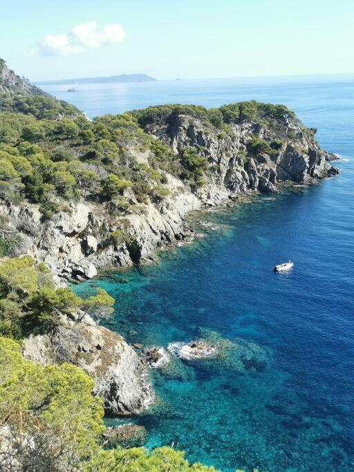 Bel Appartement 6 Personnes - Proche Toutes Commodites Toulon Eksteriør bilde