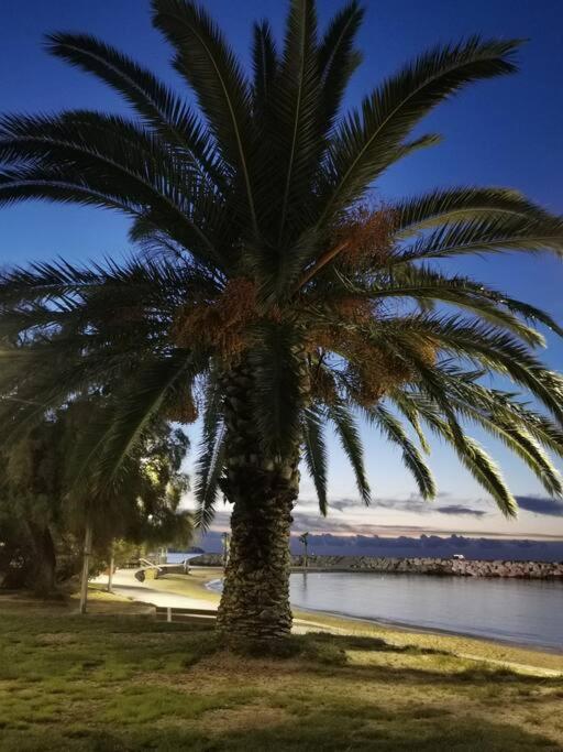 Bel Appartement 6 Personnes - Proche Toutes Commodites Toulon Eksteriør bilde